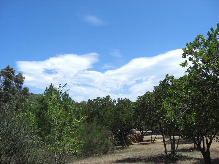 Camping California Pinarellu Extérieur photo